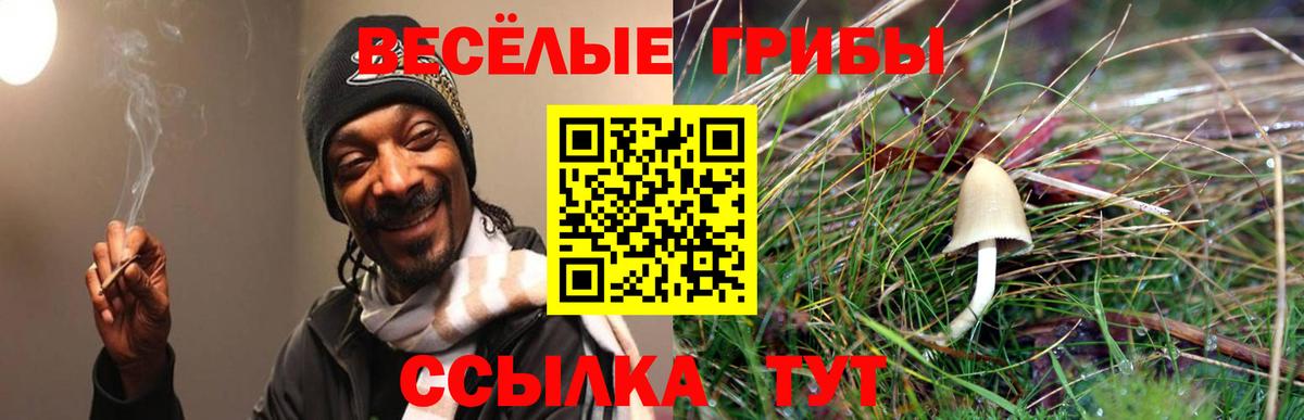Ростов-на-Дону  Псилоцибиновые грибы мицелий  Вход с VPN 